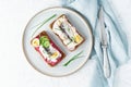 Savory smorrebrod, two traditional Danish sandwiches. Black rye bread with anchovy, beetroot, radish, eggs, cream cheese on grey Royalty Free Stock Photo