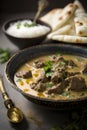 Savory Syrian lamb stew with cream land shakiryeh and spices.