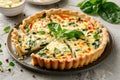 Savory tart of rich egg custard, spinach and cheese with cut out a slice on the plate Royalty Free Stock Photo