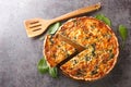 Savory tart of rich egg custard, spinach and cheese with cut out a slice on the plate close-up. Hotizontal top view Royalty Free Stock Photo