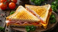 Savory triangle sandwich with ham, cheese, tomato, and fresh salad a delightful meal combo. Royalty Free Stock Photo