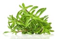 Savory on white Background - Isolated Royalty Free Stock Photo
