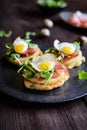 Savoury yoghurt and scallion pancakes with Black Forrest ham, smoked cheese, quail egg and arugula Royalty Free Stock Photo