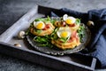 Savoury yoghurt and scallion pancakes with Black Forrest ham, smoked cheese, quail egg and arugula Royalty Free Stock Photo