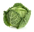 Savoy cabbage