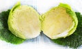 Savoy cabbage Royalty Free Stock Photo