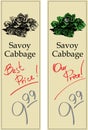 Savoy Cabbage