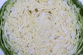savoy cabbage Royalty Free Stock Photo