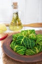 Savoy cabbage dolma in a ceramic bowl. Ducan`s diet. Proper nutrition. Vertical view