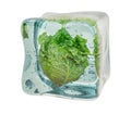 Savoy cabbage frozen in ice cube, 3D rendering