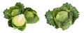 Savoy cabbage with half isolated on white background with full depth of field Royalty Free Stock Photo