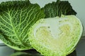 Savoy cabbage Royalty Free Stock Photo