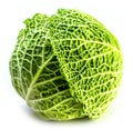 Savoy Cabbage head Isolated on White Background. Royalty Free Stock Photo