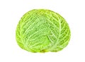 Savoy cabbage head, kitchen garden, winter green vegetable, isolated on white background with clipping path Royalty Free Stock Photo