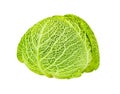 Savoy cabbage head, winter green vegetable, isolated on white background with clipping path Royalty Free Stock Photo