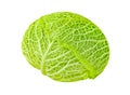 Savoy cabbage head, winter green vegetable, isolated on white background with clipping path Royalty Free Stock Photo