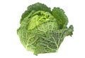 Savoy cabbage isolated on white background Royalty Free Stock Photo