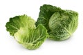 Savoy cabbage isolated on white background with clipping path and full depth of field Royalty Free Stock Photo