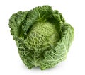 Savoy cabbage isolated on white background with clipping path and full depth of field Royalty Free Stock Photo