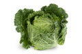 Savoy cabbage isolated on white background with clipping path and full depth of field Royalty Free Stock Photo