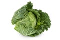 Savoy cabbage isolated on white background with clipping path and full depth of field Royalty Free Stock Photo