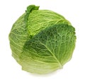 Savoy cabbage isolated on white background Royalty Free Stock Photo