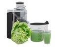 Savoy cabbage juice with electric juicer, 3D rendering