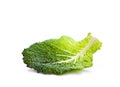 Savoy cabbage leaf isolated on white background