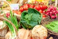 Savoy cabbage and other fresh vegetables for sale in a Parisian