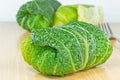 Savoy cabbage rolls