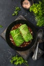 Savoy cabbage rolls stufed with meat and vegetables served with Royalty Free Stock Photo