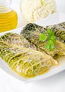 Savoy cabbage rolls on white dish. Royalty Free Stock Photo