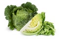 Savoy cabbage slice isolated on white background with clipping path and full depth of field