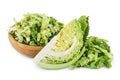 Savoy cabbage slice isolated on white background with clipping path and full depth of field