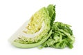 Savoy cabbage slice isolated on white background with clipping path and full depth of field