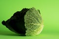 Savoy cabbage, tundra cultivar. Royalty Free Stock Photo