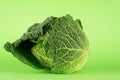 Savoy cabbage, tundra cultivar, often mistakenly called kale in Serbia. Royalty Free Stock Photo