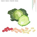 Savoy Cabbage with Vitamin K, C and B9