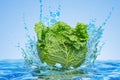 Savoy cabbage with water splashes, 3D rendering