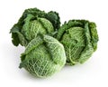 Savoy cabbages isolated on white background Royalty Free Stock Photo
