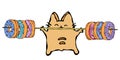 Savoyar the Cat Holding Barbell with Donuts. Love Donut. Cute Cheerful Fun Red or Ginger Kitty with Hands Held High