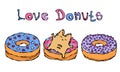 Savoyar the Cat Lying on a Donut. Love Donuts. Cute Cheerful Fun Red or Ginger Kitty with Hands Held High. Adorable Kitten with Ha