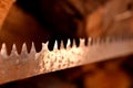 A saw blade teeth in perspective