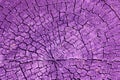 Saw cut texture with annual rings and cracks with Velvet Violet toned. Old tree stump as background Royalty Free Stock Photo