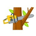 Saw cut tree branch. Woodcutter operation. Harvesting of log