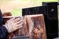 Saw cutting wood for winter. A man cutting firewood for the winter using a modern machine lumber saw. Royalty Free Stock Photo