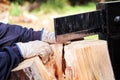 Saw cutting wood for winter. A man cutting firewood for the winter using a modern machine lumber saw. Royalty Free Stock Photo