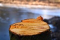 Saw mill. Wooden background. Firewood.