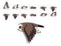 Saw-Whet Owl Bird Flying Animation Sequence Cartoon Vector Royalty Free Stock Photo