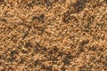 Sawdust background seamlessly tileable Royalty Free Stock Photo